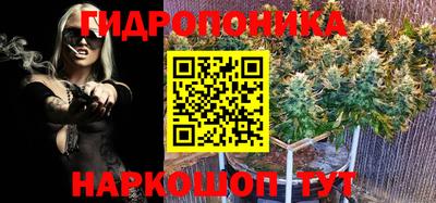 дистиллят марихуана Будённовск